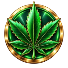 Cannabis User